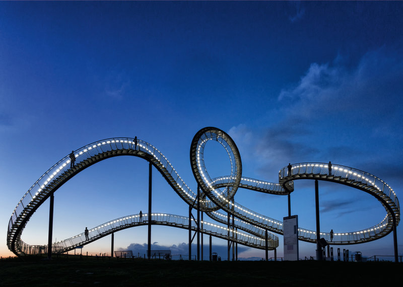 Tiger and Turtle Tiger and Turtle
